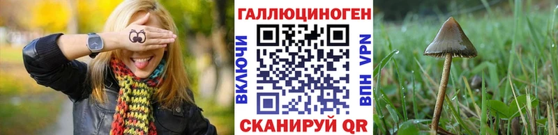 Псилоцибиновые грибы мицелий  Буйнакск 